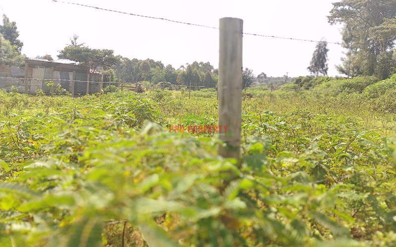 Prime 80 By 100ft Plots For In Gikambura