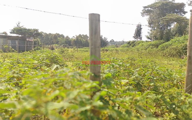 PRIME 80 by 100ft PLOTS FOR IN GIKAMBURA