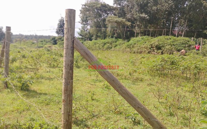 Prime 80 By 100ft Plots For In Gikambura