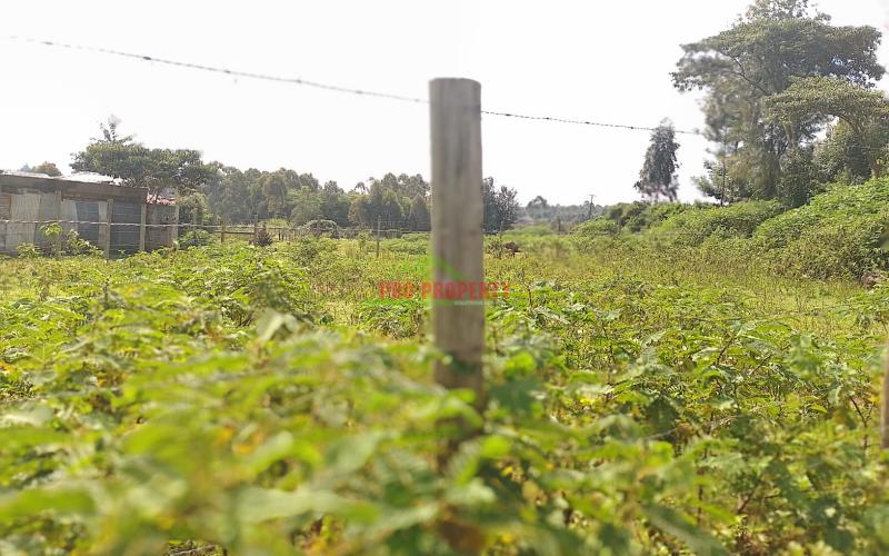 Prime 80 By 100ft Plots For In Gikambura