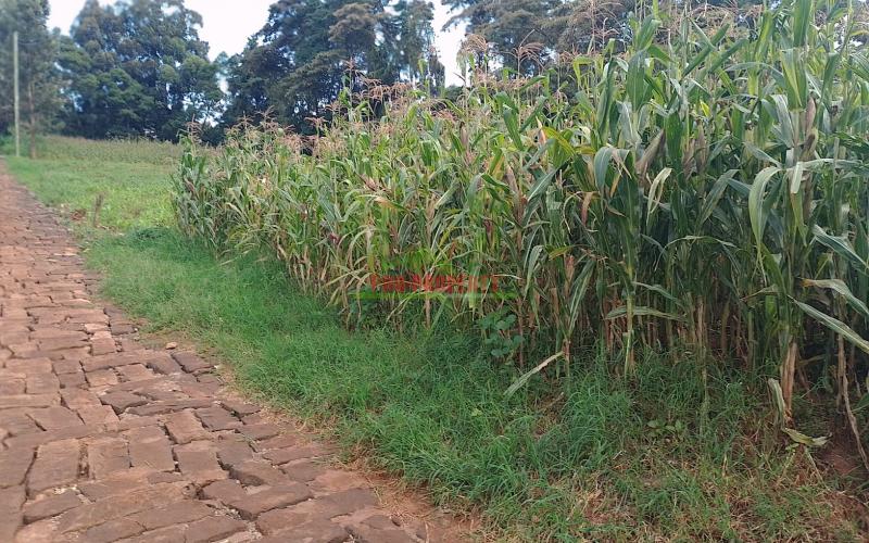 Prime Residential Plots For Sale In Gikambura