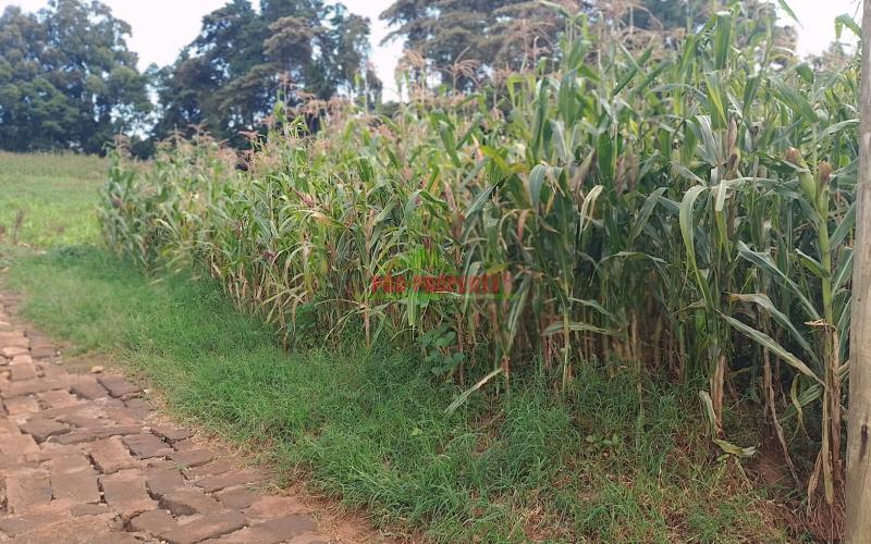 Prime Residential Plots For Sale In Gikambura