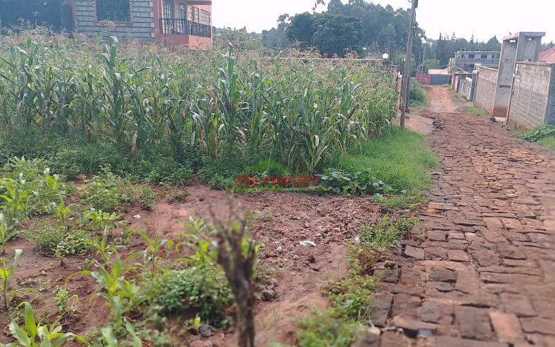 Prime Residential Plots For Sale In Gikambura
