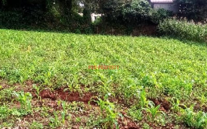 Prime Residential Plot For Sale In Kikuyu, Gikambura