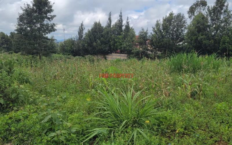 Prime 200 By 200 Ft Commercial Plot For Sale In Kikuyu- Kamangu