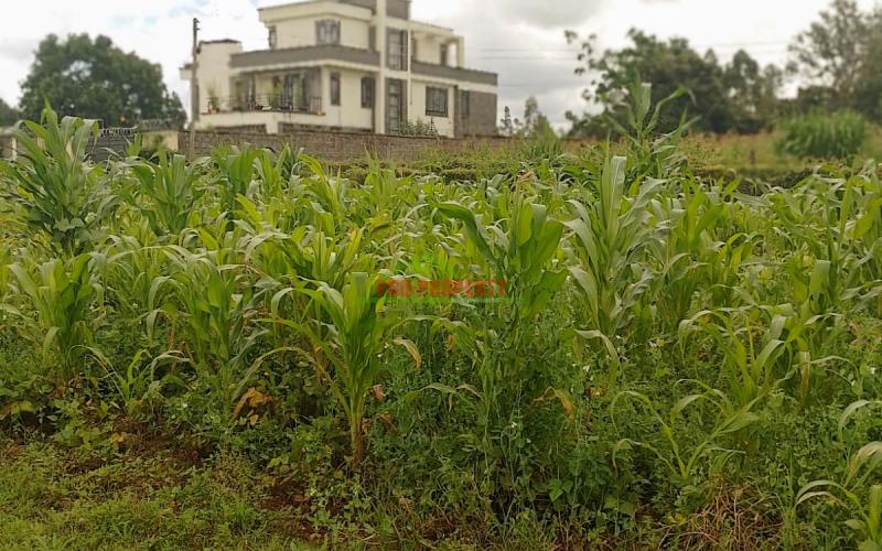 Prime Residential plot for sale in Kikuyu, Gikambura