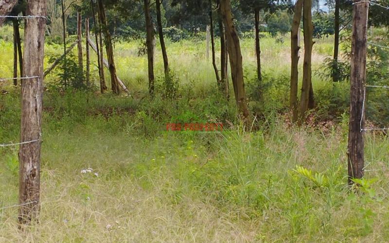 Prime 50by100ft Plots For Sale In Kikuyu-kamangu