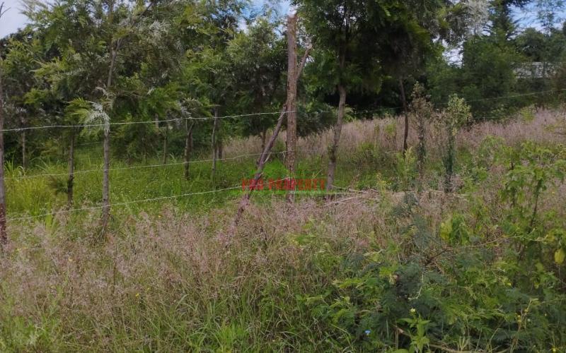Prime 50*100 Ft Residential Plot For Sale In Kikuyu-kamangu