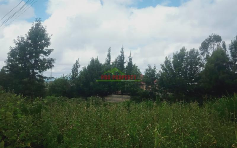 Prime Plot For Sale In Kikuyu -kamangu(1/2acre)