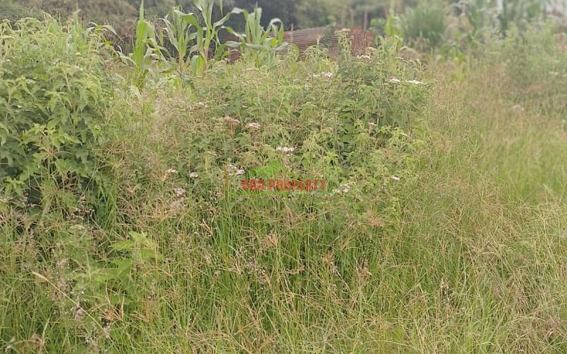 A1 Plot For Sale In A Gated Community Concept In Gikambura