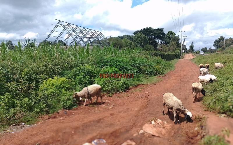 COMMERCIAL PLOTS FOR SALE IN THIGIO