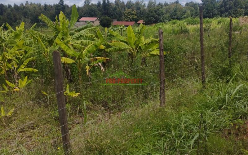 Prime 50*200 Plot For Sale In Kikuyu-kamangu