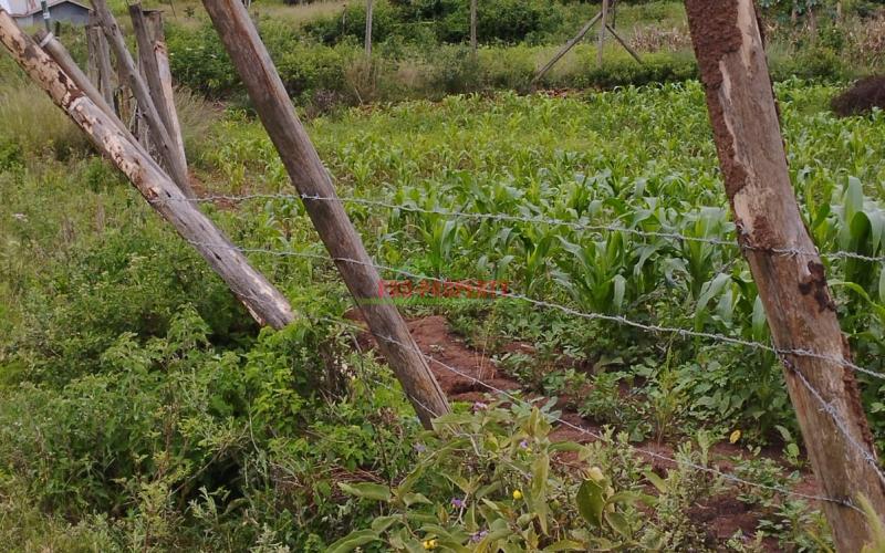 Prime 50*100 Ft Residential Plot For Sale In Kikuyu-kamangu