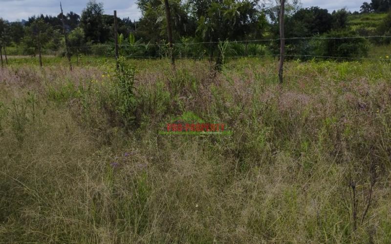 Prime 50*100ft Plot For Sale In Kikuyu-kamangu.