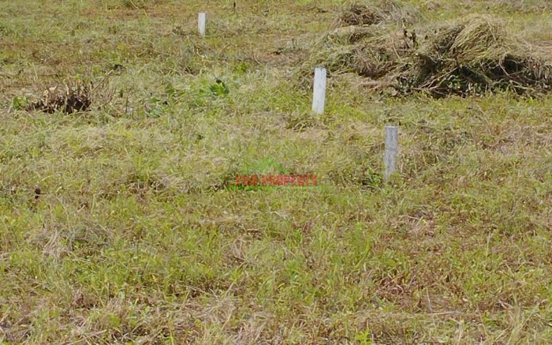 Prime 50*100ft Residential Plot For Sale In Kikuyu-nguirubi