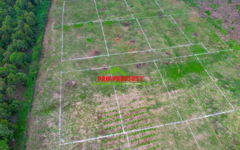 Prime 50 × 100 Plots For Sale