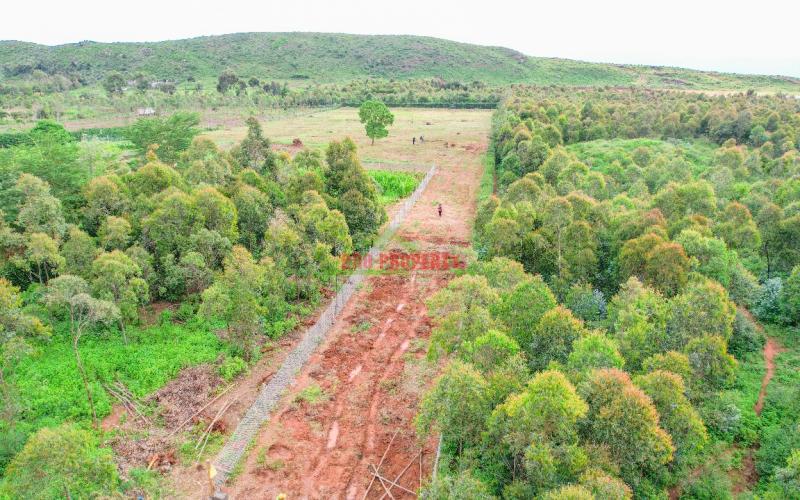 Prime 50 × 100 Plots For Sale