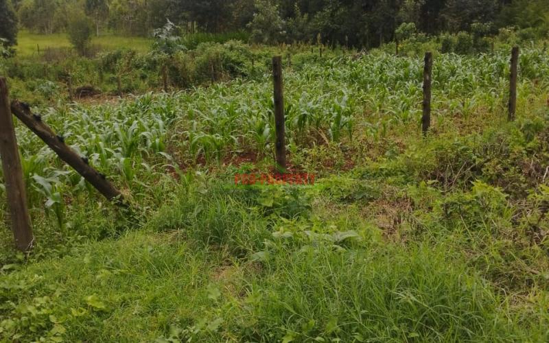 Prime 50*100ft Plot For Sale In Kikuyu-gikambura