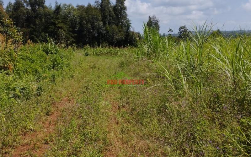 Prime Residential 50 By 100 Ft Plot For Sale In Kikuyu-gikambura