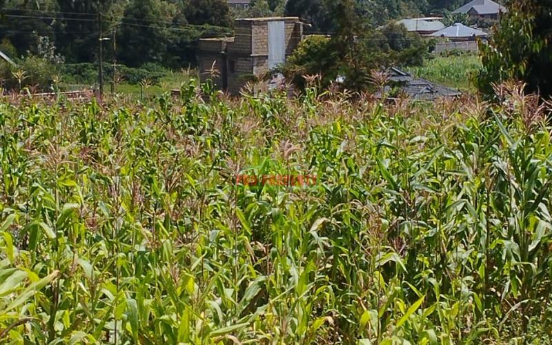 Prime Residential 50 By 100 Ft Plot For Sale In Kikuyu-gikambura