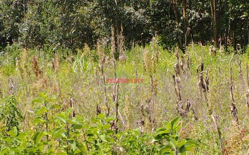 Prime Residential 50 By 100 Ft Plot For Sale In Kikuyu-gikambura