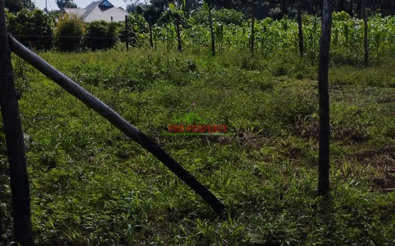 Prime 50*100ft Plot For Sale In Kikuyu-gikambura