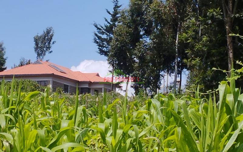 Prime 50*100ft plot for sale in Kikuyu-Gikambura