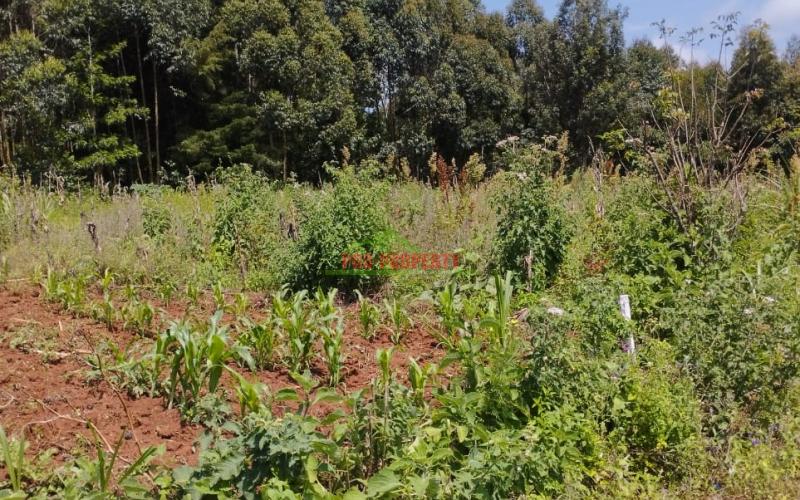 Prime 50*100ft residential plot for sale in Kikuyu-Gikambura