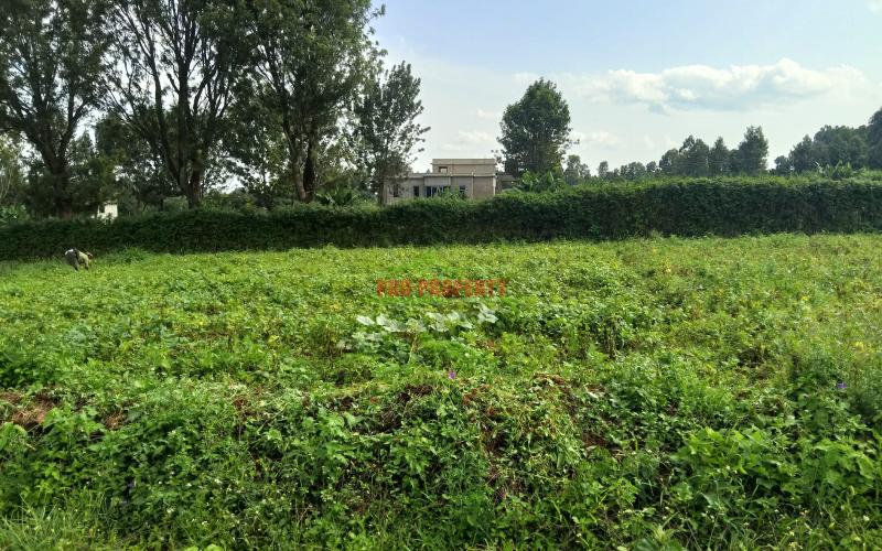 Prime Residential plot for sale in Kikuyu, kamangu