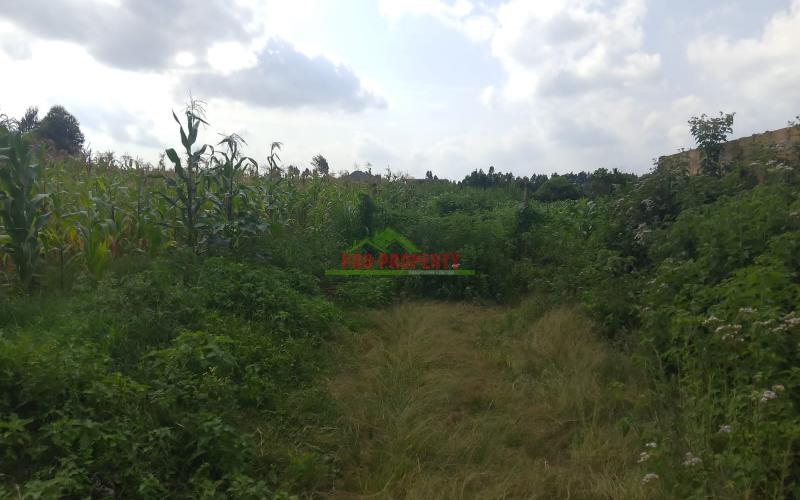 Prime Residential Plot For Sale In Kikuyu, Kamangu