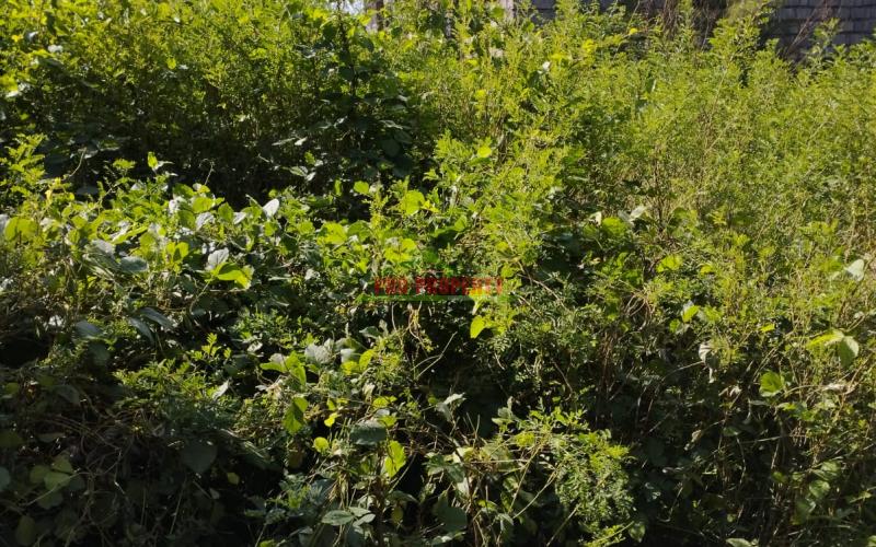 Prime 50*100 Residential Plot For Sale In Kikuyu-kamangu