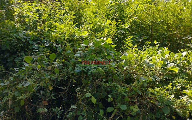 Prime 50*100 Residential Plot For Sale In Kikuyu-kamangu