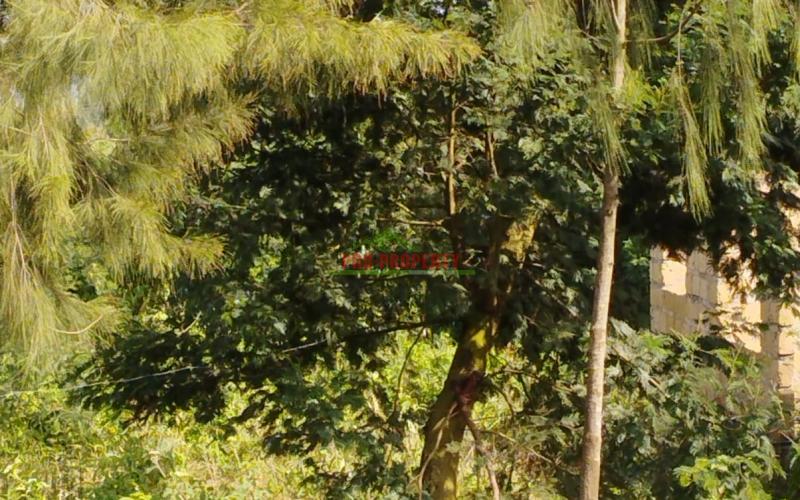 Prime 50*100 Residential Plot For Sale In Kikuyu-kamangu