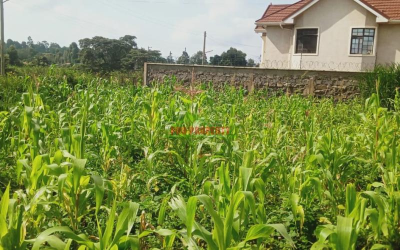 A1 Plot For Sale In Gikambura