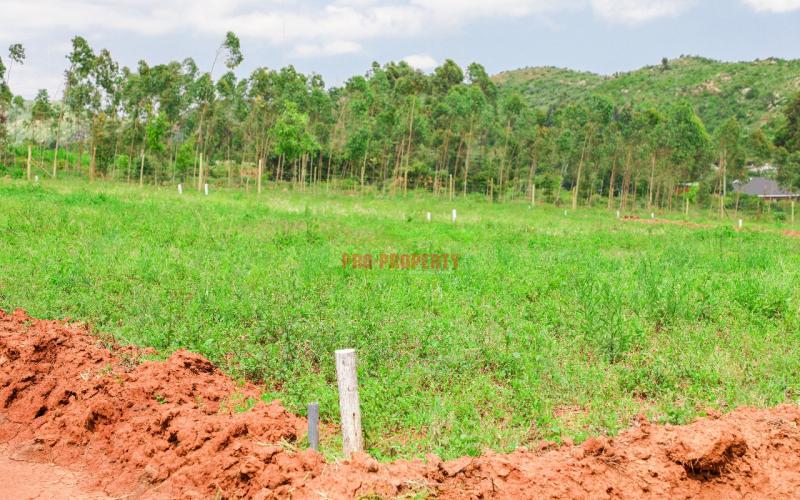 Prime  Residential  Controlled  Plots For Sale In A Gated Community In Kikuyu ,thigio