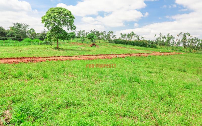 Prime  Residential  Controlled  Plots For Sale In A Gated Community In Kikuyu ,thigio