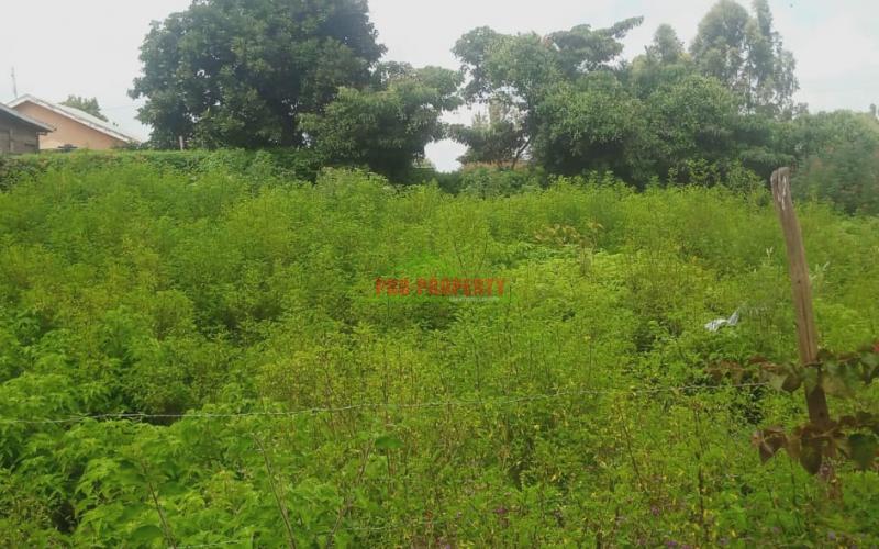 Commercial Plots For Sale Lusingetti