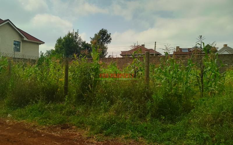 A1 60 By 100ft Plot For Sale In Gikambura