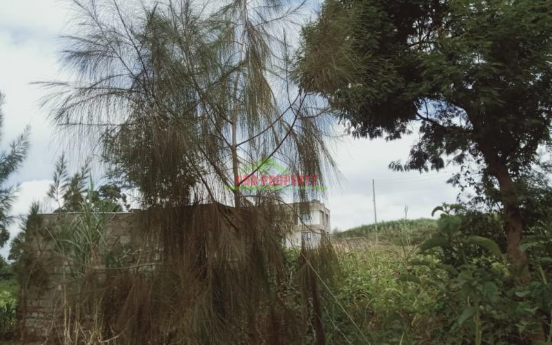 Prime 50 By 100ft Plots For Sale In Kamangu, Kikuyu