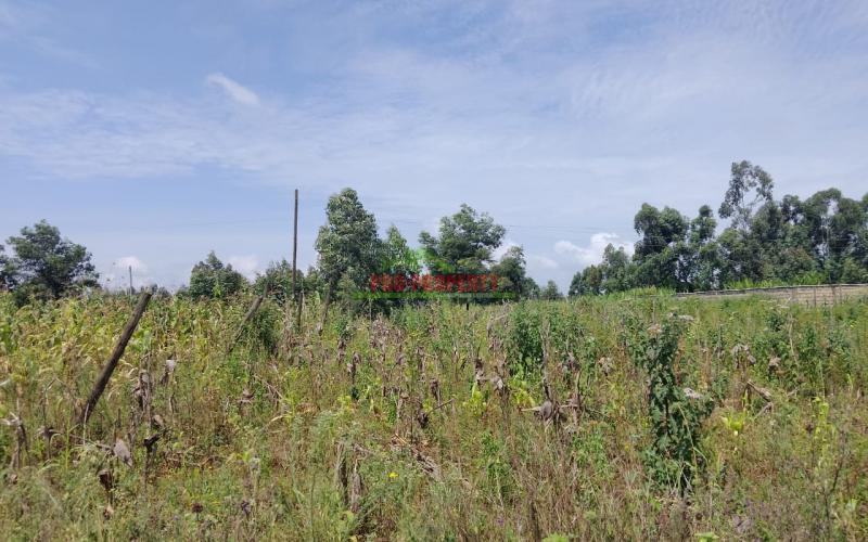 50 by 100 ft residential plot for sale in Kikuyu, Ng'amba