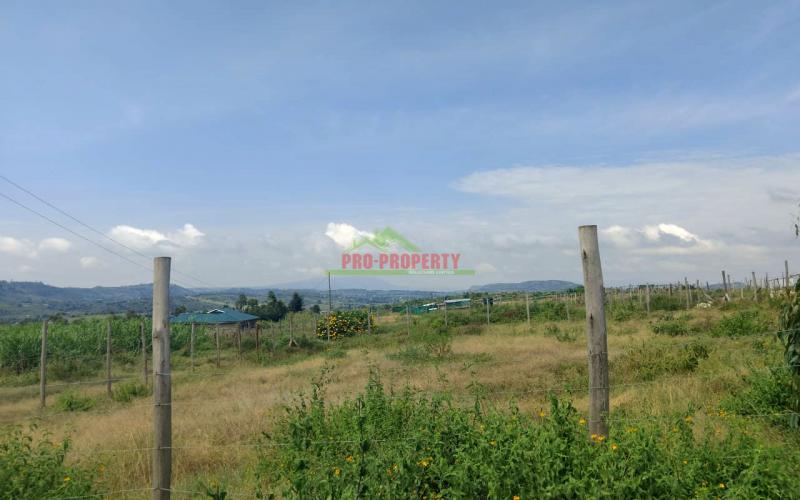 Prime Residential Plot For Sale In Kikuyu,nachu Area