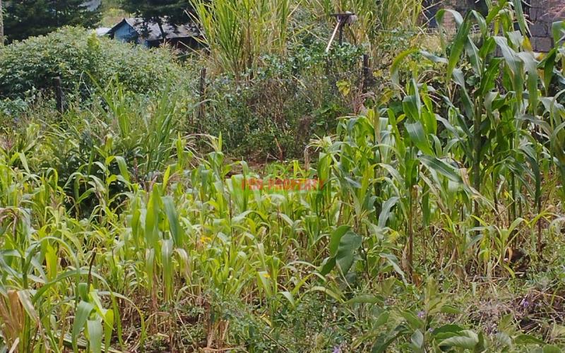 100by100ft Prime Residential Plot For Sale In Kikuyu- Ndiguini