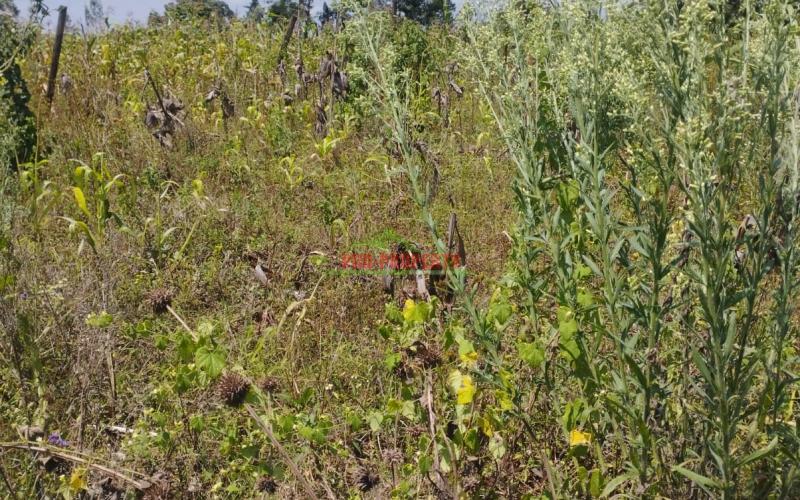 Prime 50by100 Residential Plot For Sale In Kikuyu-ngamba