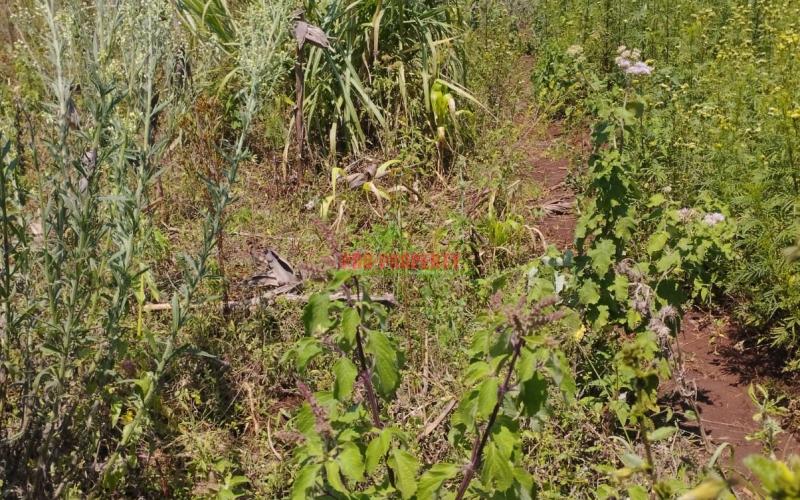 Prime 50by100 Residential Plot For Sale In Kikuyu-ngamba