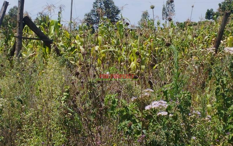 Prime 50by100 Residential Plot For Sale In Kikuyu-ngamba