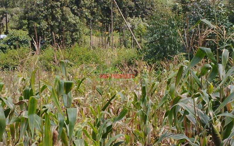 50by100 Prime Residential Plot For Sale In Kikuyu - Nachu