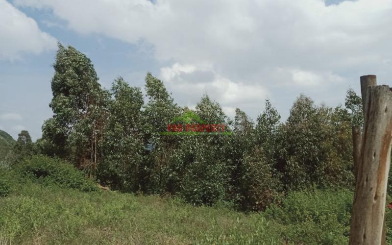 Prime Residential Plot In Kikuyu, Nachu