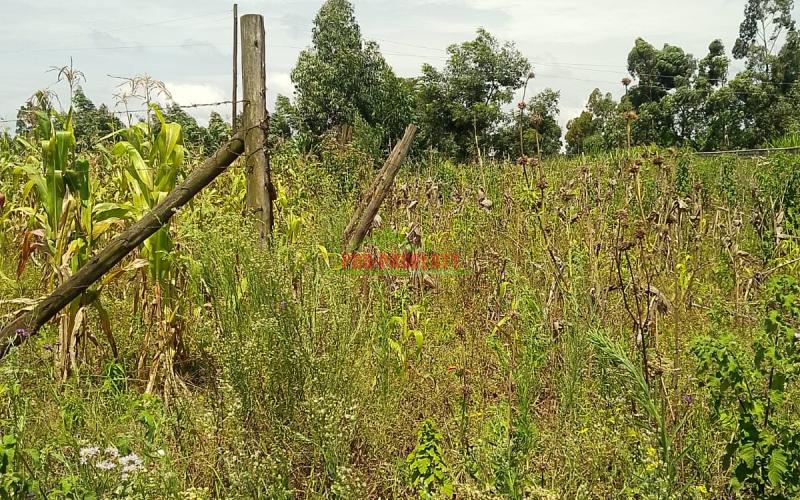 Prime Residential Plot In Kikuyu, Kamangu