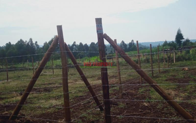 Prime 50 By 100 Ft Residential Plots For Sale In Kikuyu, Thigio