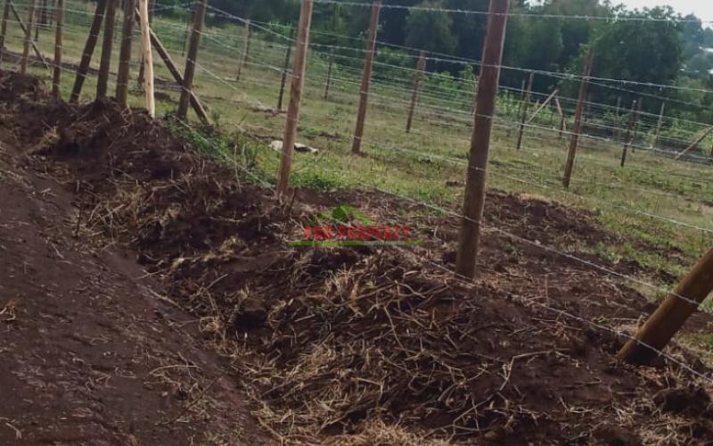 Prime 50 By 100 Ft Residential Plots For Sale In Kikuyu, Thigio